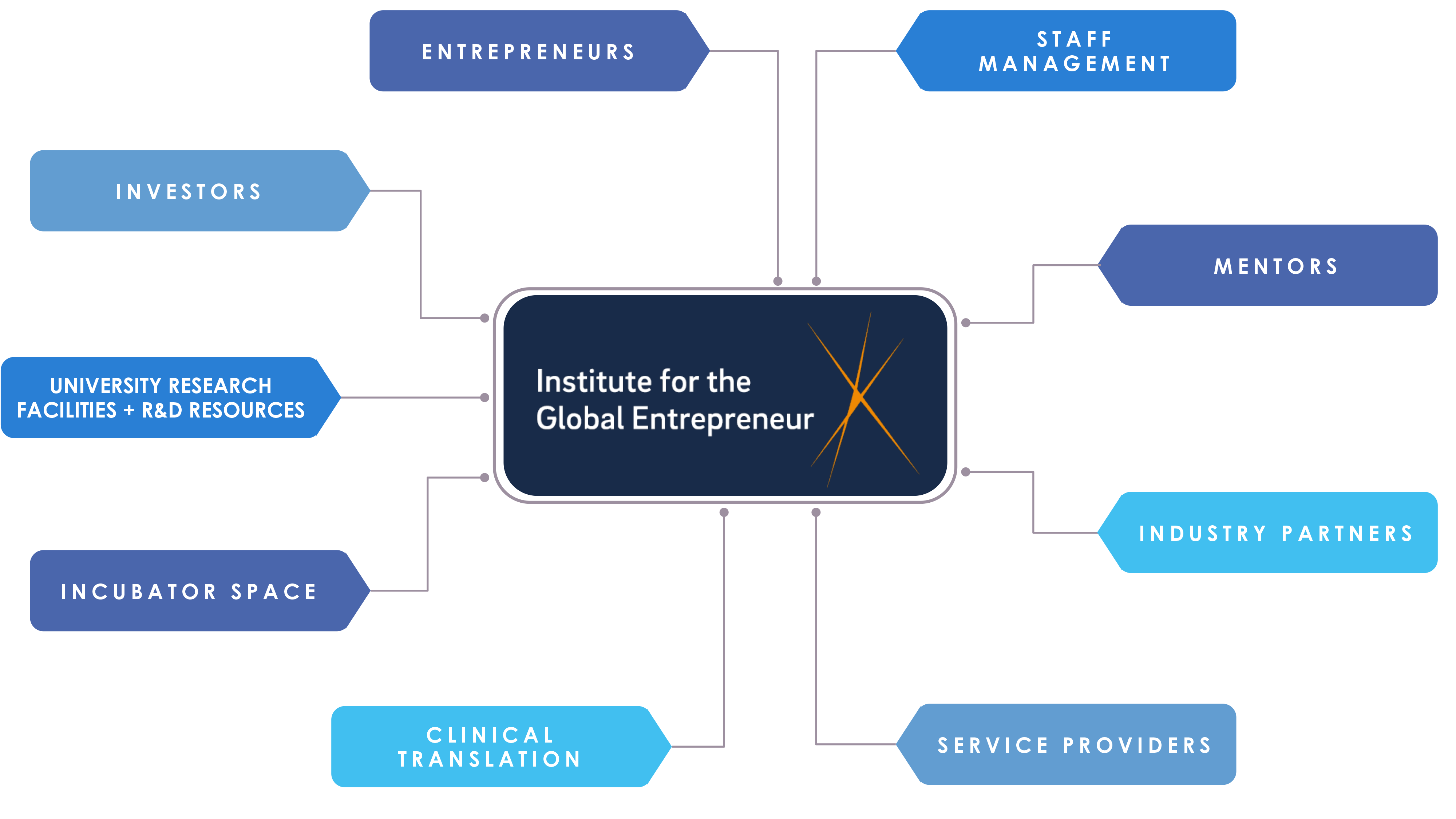 IGE Ecosystem